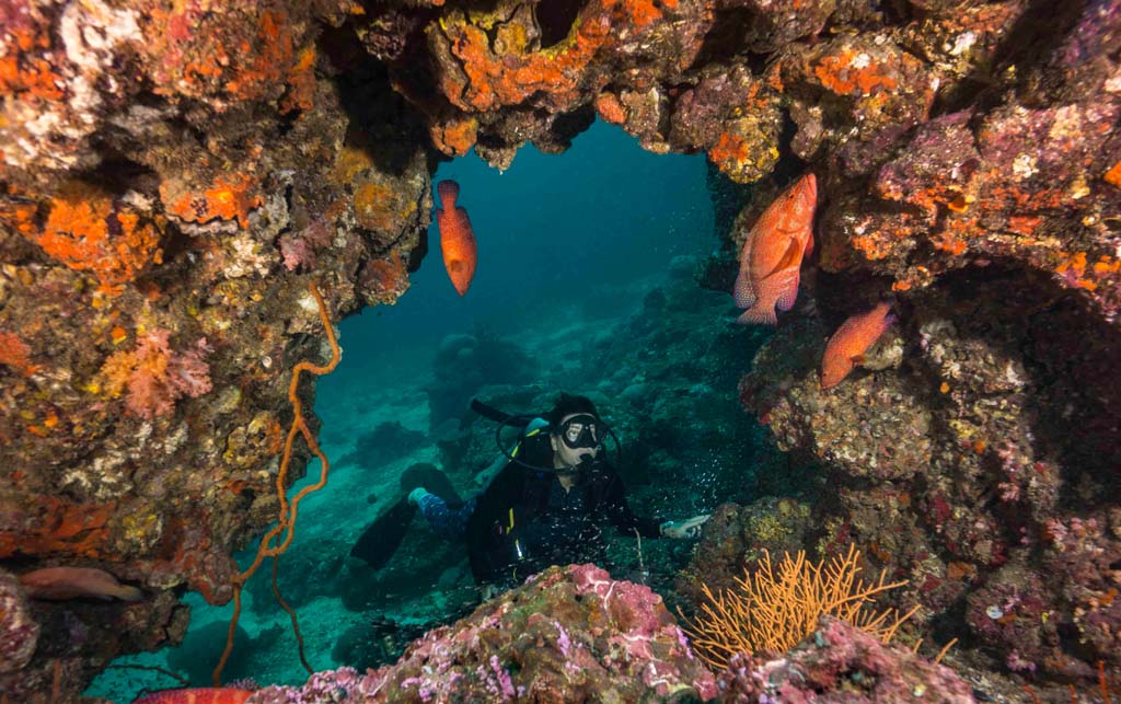 Koh Ha diver and swim through with coral trout credit Pete McGee