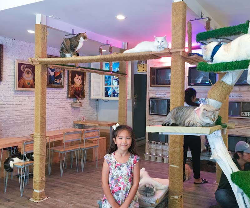 Bangkokwithkids-CaturdayCafe-CatTree