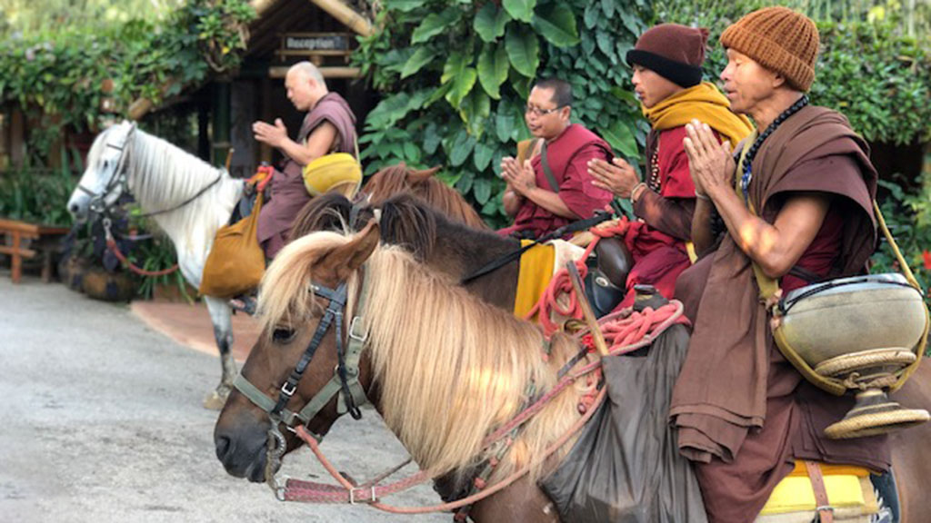 Chiang Rai monks on horseback