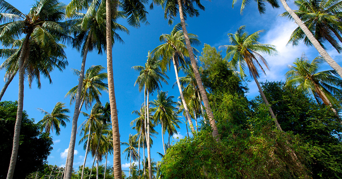 EAU-Thailand-Off-Beaten-Path-Islands