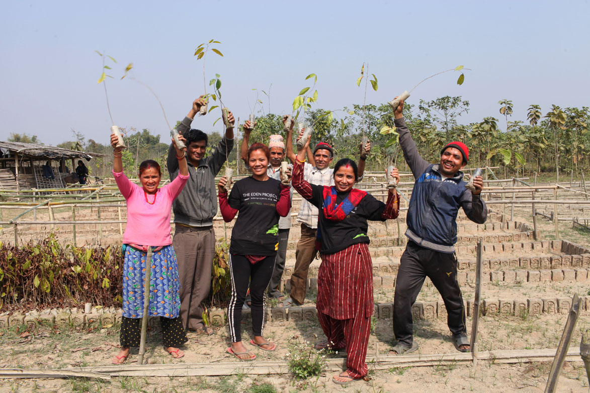 B'n'Tree Eden Happy Workers