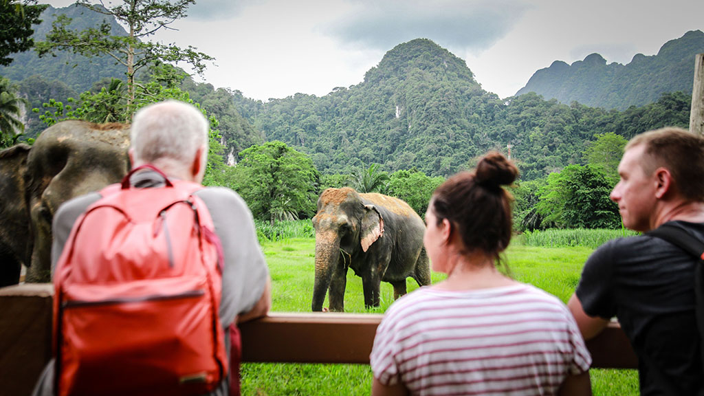 Elephant Hills