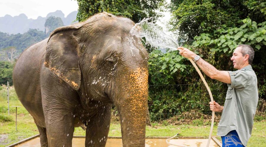 Elephant Hills Safari experience in Khao Sok National Park