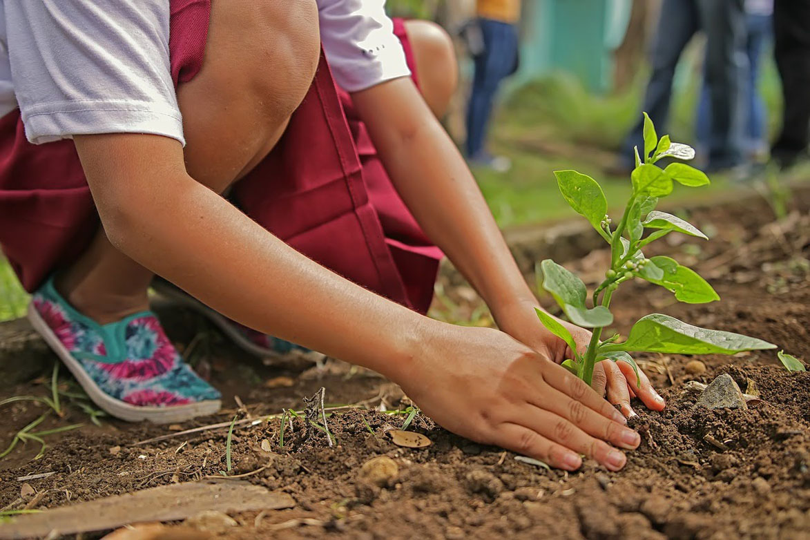 Girl plants tree B'n'Tree