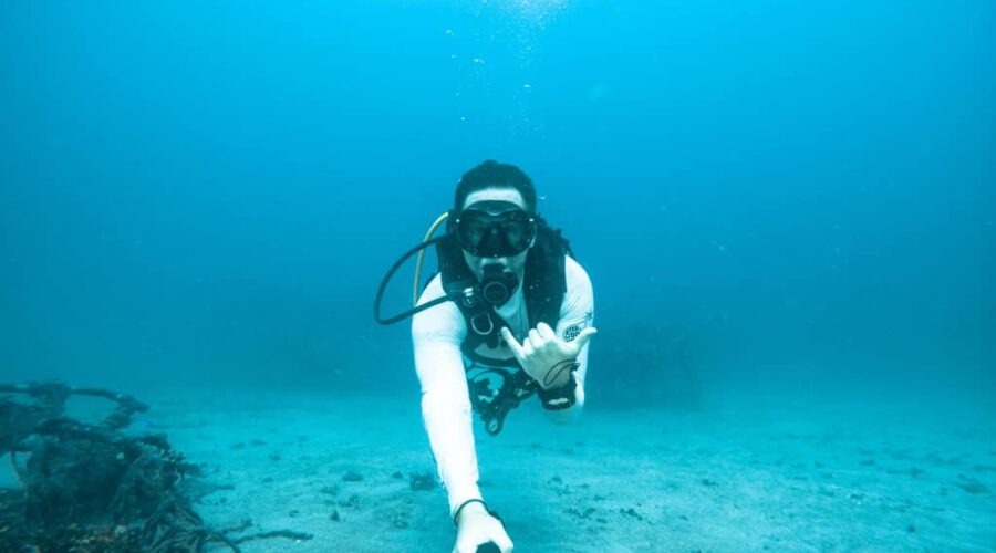 Conservation Diving in Koh Tao