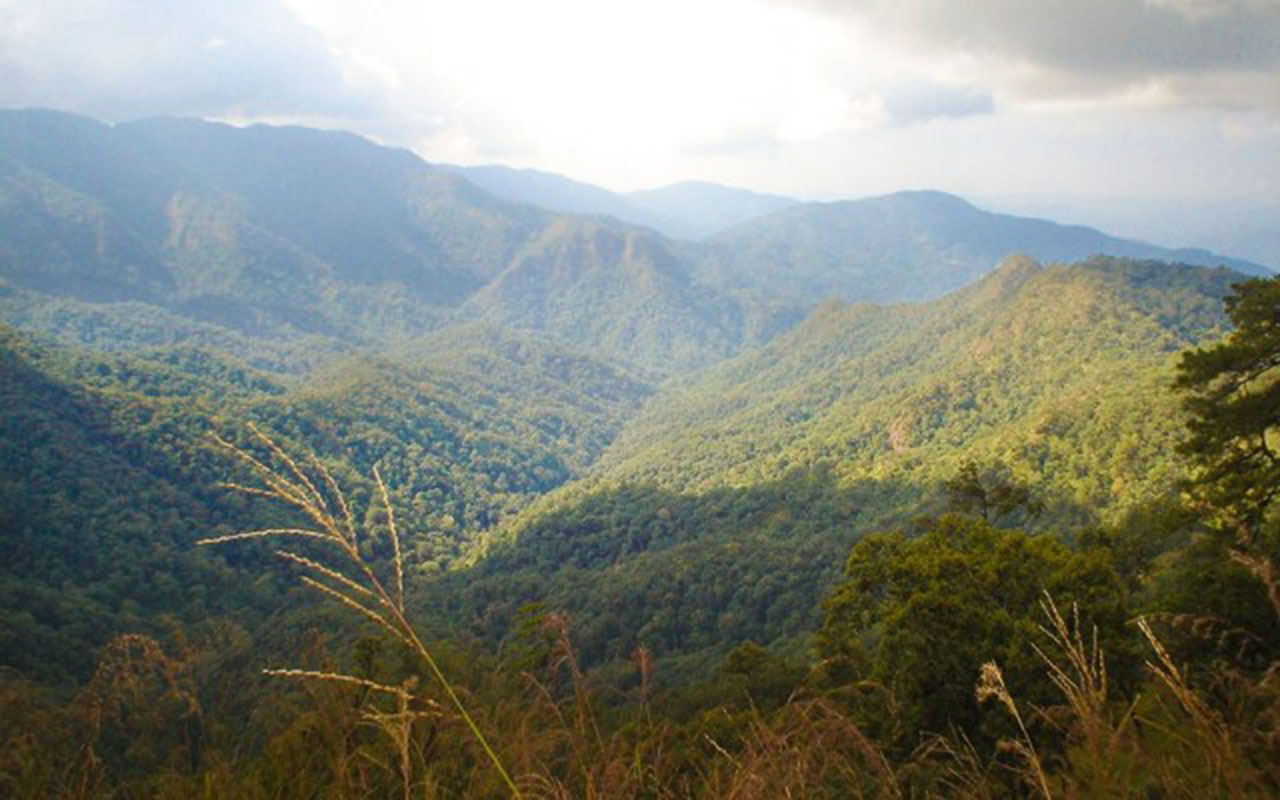 Mae-Takhrai-National-Park-DNP