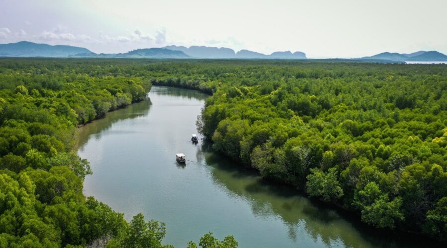 Koh Lanta Mangrove Tours with Pimalai Resort & Spa