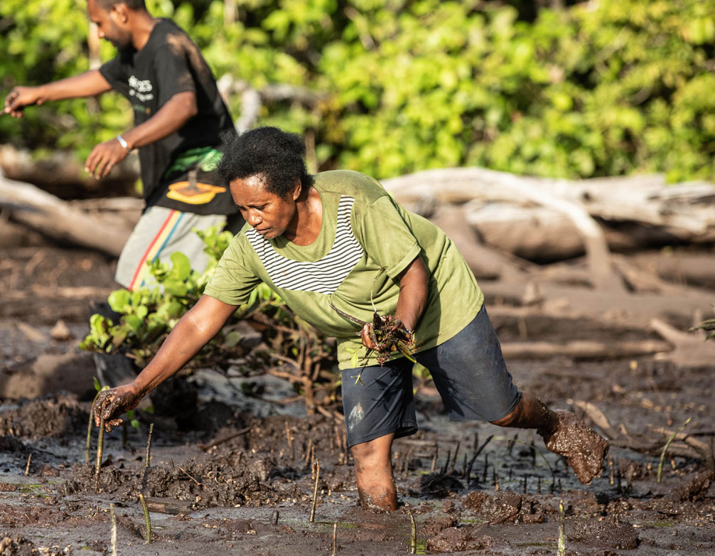 B'n'Tree Mangrove Planting Madagascar B'n'Tree