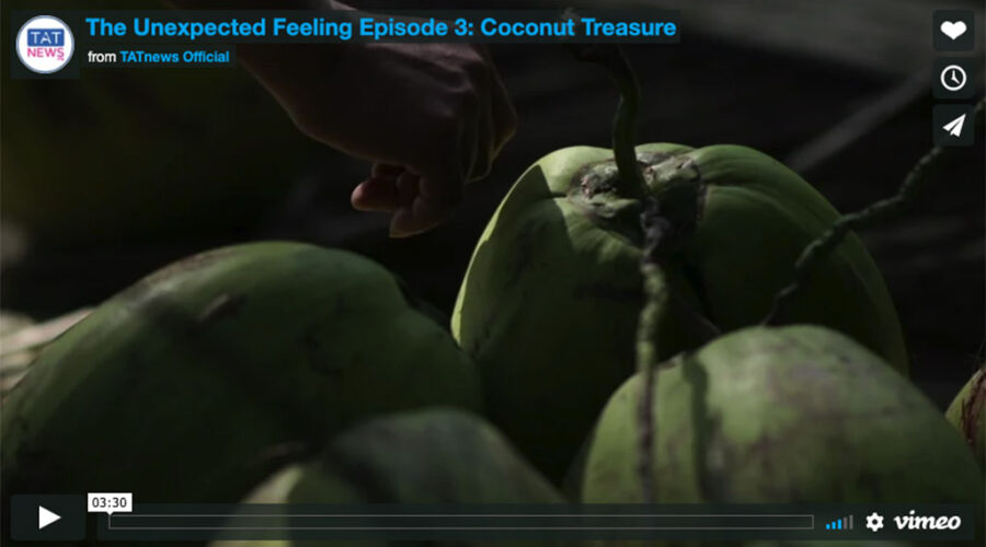Unexpected Feeling Ep. 3: Samut Songkran coconut carving