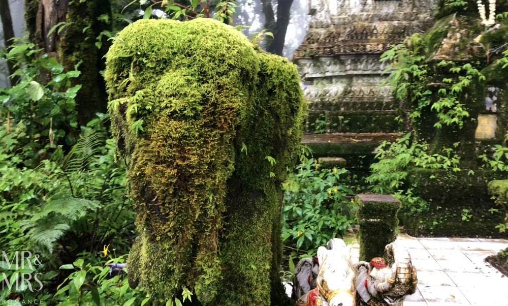 Visit-Chiang-Mai-elephant