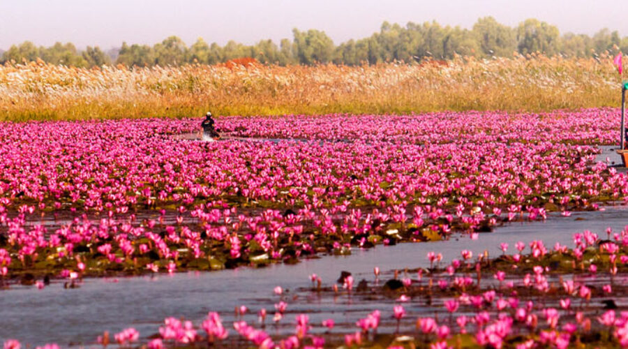 Songkran: why water is at the heart of Thai culture