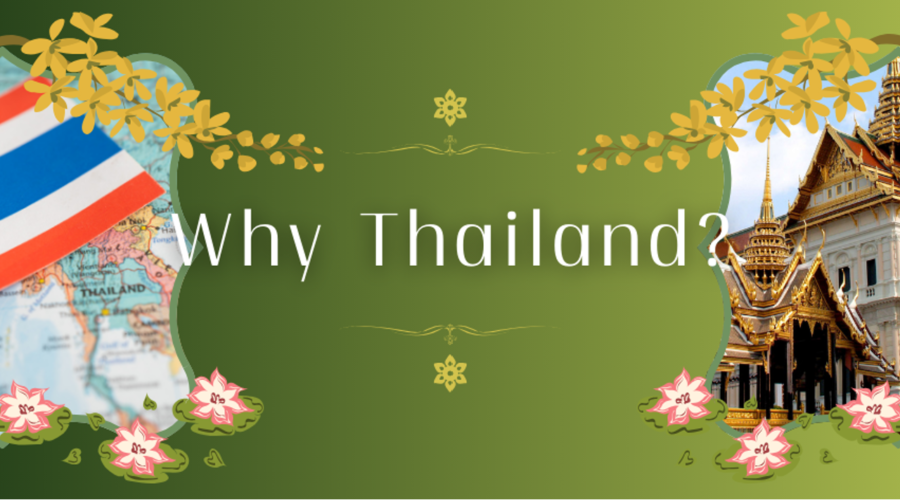 1.Why Choose Thailand?